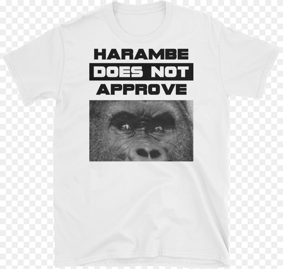 Quotharambe Does Not Approve Macaque, Clothing, T-shirt, Animal, Mammal Free Png Download