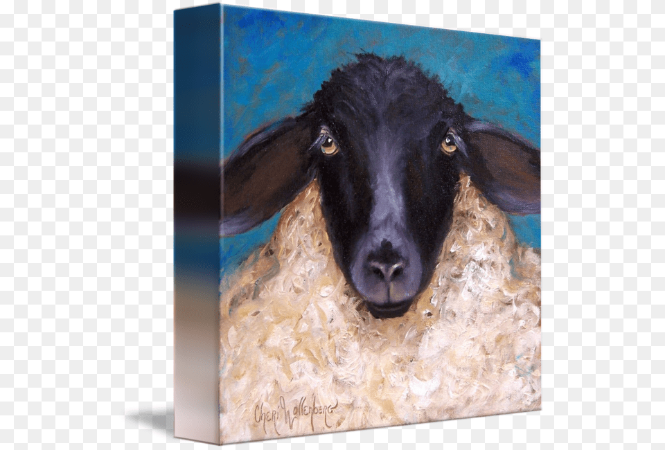 Quotlesterquot By Cheri Wollenberg Lester The Lamb By Cheri Wollenberg Gallery Wrap Canvas, Animal, Livestock, Mammal, Sheep Png Image