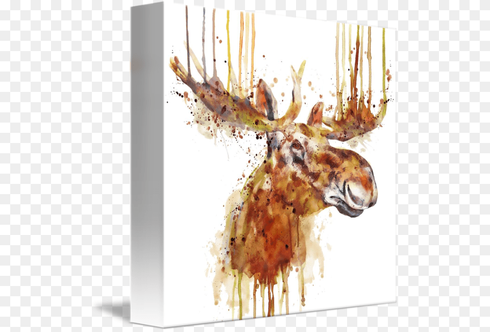 Quotmoose Headquot By Marian Voicu Bucharest Watercolor Painting, Animal, Mammal, Wildlife, Deer Png Image