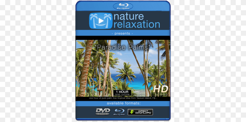 Quotparadise Palmsquot Tropical Fiji Static Nature Video 4k Resolution, Summer, Plant, Outdoors, Tree Free Png
