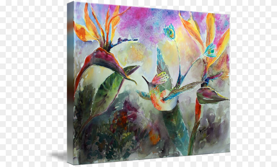 Quotpeacock Tail Hummingbird Watercolorquot By Ginette Callaway Arte Visuales De Animales, Art, Modern Art, Painting, Canvas Png