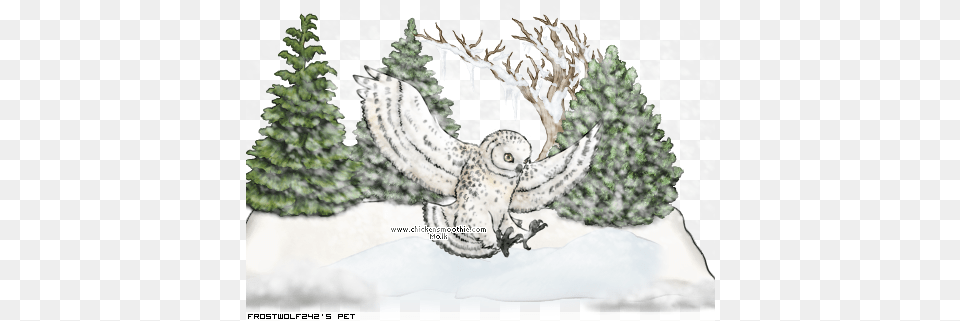 Quotsnowy Owl In The Snowquot By Frostwolf242 Illustration, Plant, Tree, Animal, Bird Png Image