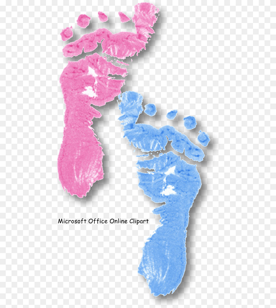 Quotthe Baby Bookquot Baby Feet, Footprint, Person Free Transparent Png