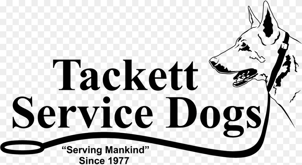 Quottraining Dogs For Today39s Familiesquot Skuttle Product 000 0814, Animal, Canine, Mammal, Text Png Image