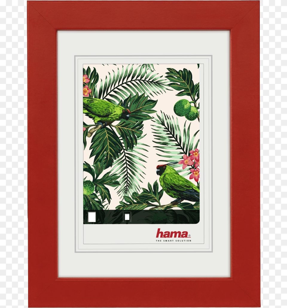 Quottropicalquot Wooden Frame Red 10 X 15 Cm Hama Holzrahmen, Animal, Bird, Plant, Vegetation Free Png
