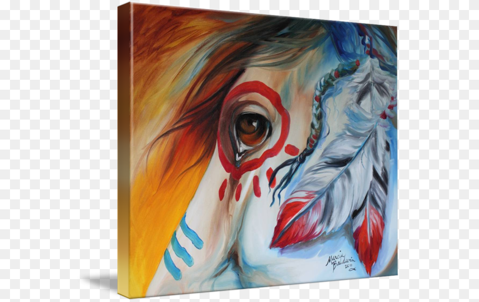 Quotwar Horse Spirit Eyequot By Marcia Baldwin Wesley Chapel Gallery Wrapped Canvas Art Print 30 X 24 Entitled War, Modern Art, Painting, Adult, Female Png