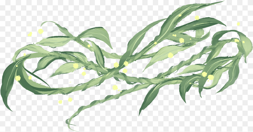 Quotweeping Willow Recovery Flexibility Hope Story Large Flowered Evening Primrose, Seaweed, Adult, Bride, Female Free Transparent Png