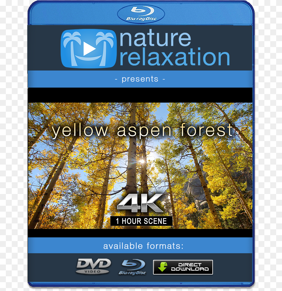 Quotyellow Aspen Forestquot 1 Hr Static Nature Video 4k Day In The Caribbean 4k, Tree, Plant, Vegetation, Advertisement Png Image
