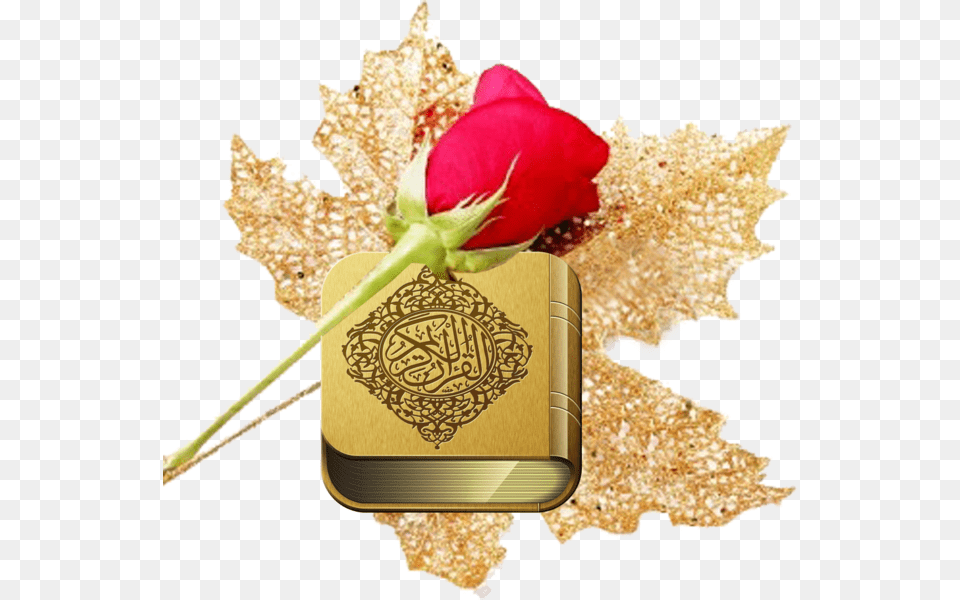 Quran With Rose, Flower, Plant, Leaf, Petal Free Png Download
