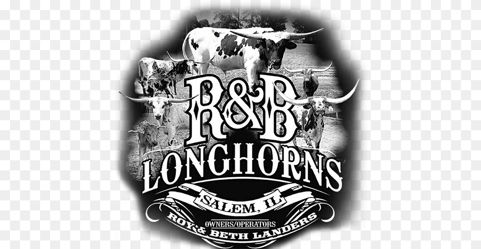 R Amp B Longhorns Logo Illustration, Animal, Cattle, Cow, Livestock Free Transparent Png