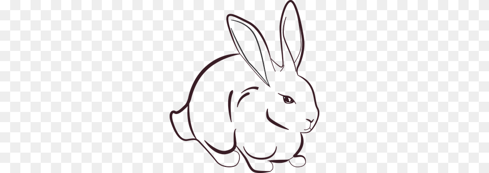 Rabbit Animal, Mammal Png