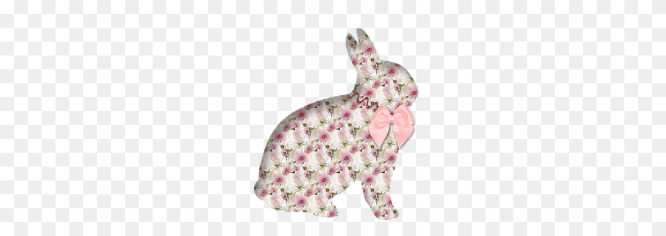 Rabbit Plush, Toy, Flower, Plant Free Transparent Png