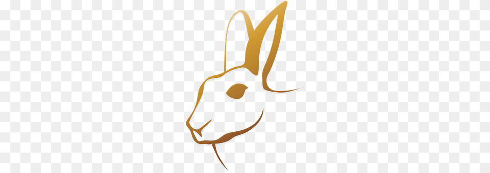 Rabbit Animal, Mammal, Bow, Weapon Png