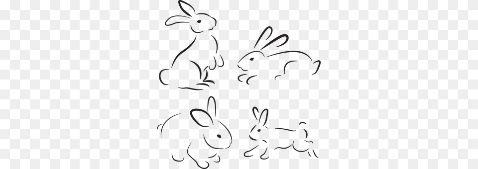 Rabbit Animal, Mammal, Pattern Png