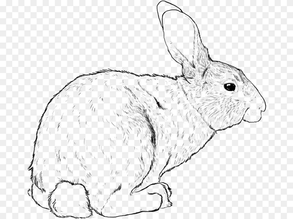 Rabbit, Silhouette Png Image