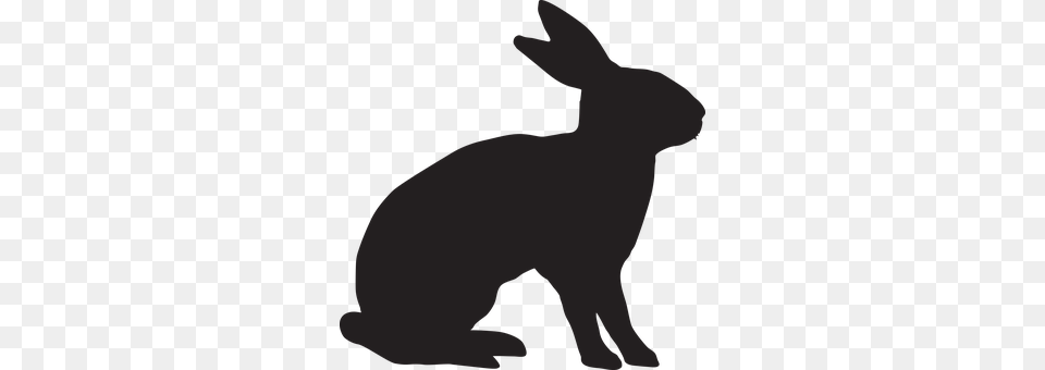 Rabbit Animal, Hare, Mammal, Rodent Free Png Download