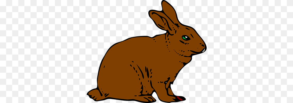 Rabbit Animal, Hare, Mammal, Rodent Png