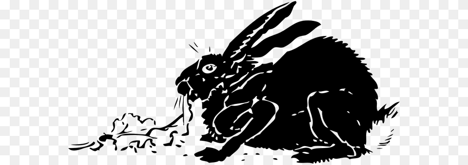 Rabbit Gray Png