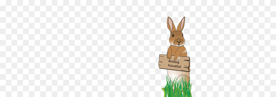 Rabbit Animal, Mammal, Hare, Rodent Png
