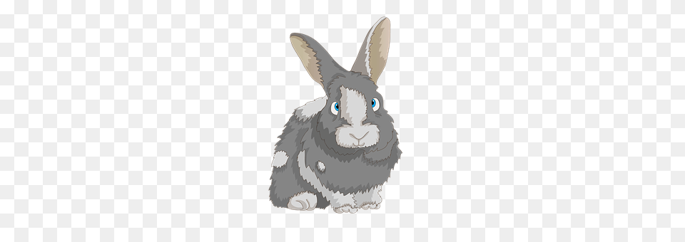 Rabbit Animal, Mammal, Bird Free Transparent Png