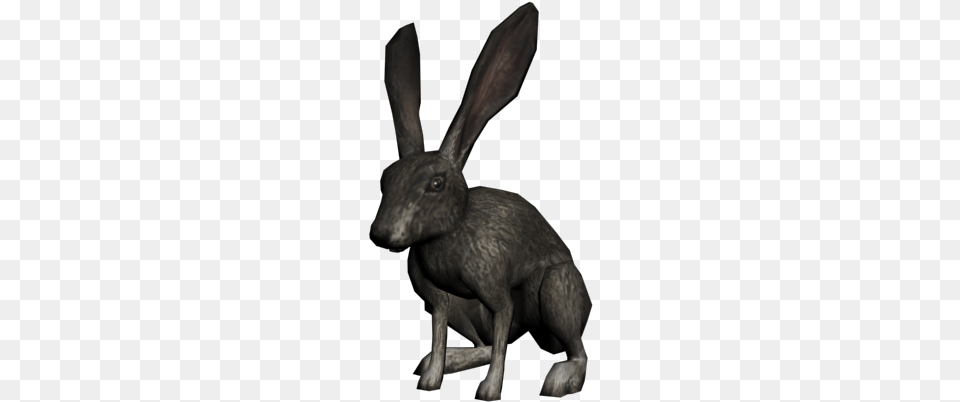 Rabbit 3d Rabbit, Animal, Hare, Mammal, Rodent Png