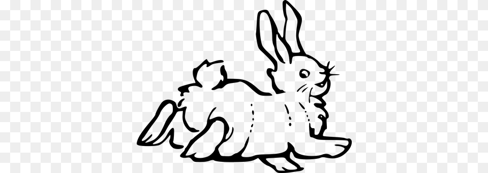 Rabbit Gray Free Transparent Png