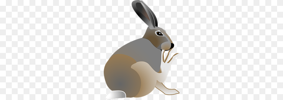 Rabbit Animal, Hare, Mammal, Rodent Free Transparent Png