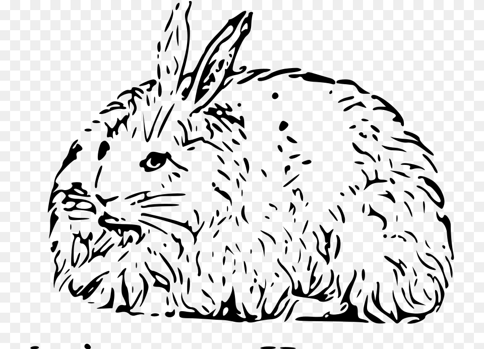 Rabbit Angora Rabbit In Cartoon, Gray Png