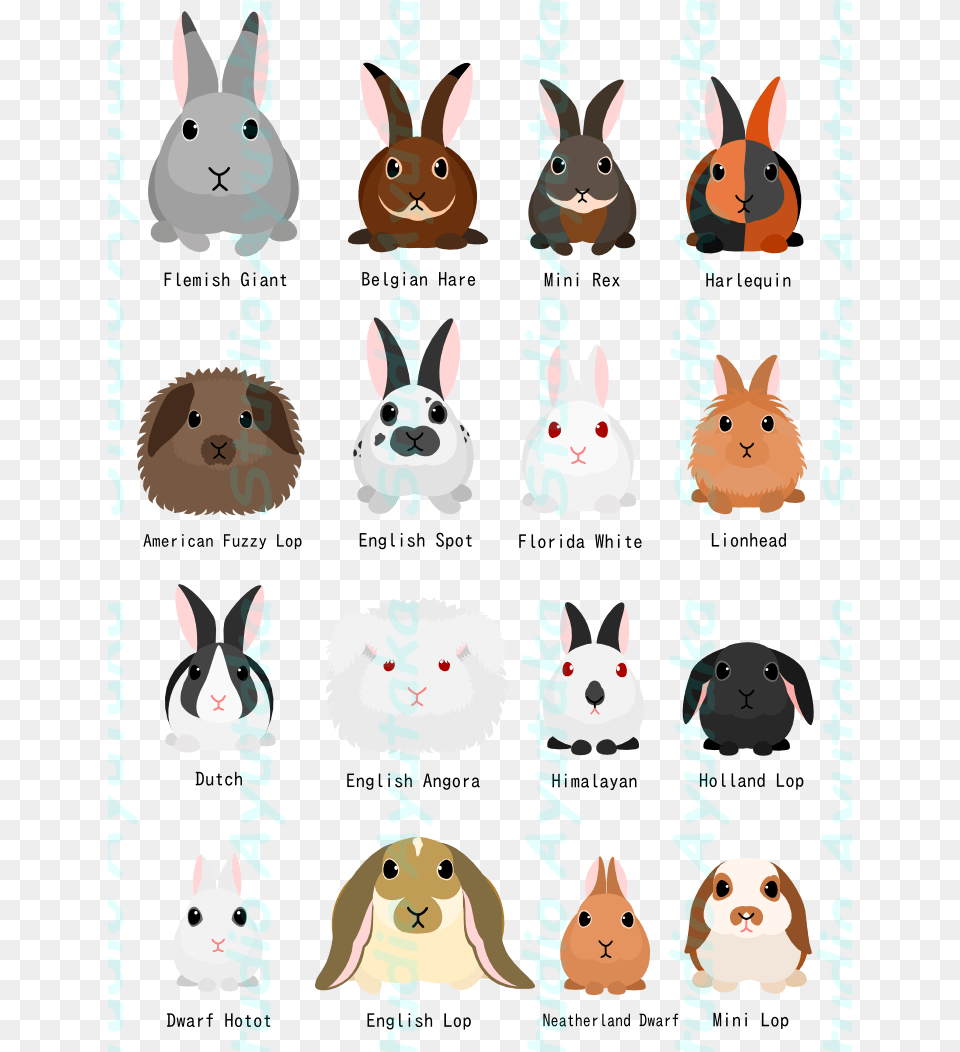 Rabbit Breeds Chart Studio Ayutaka Store Rabbit Breed Chart, Plush, Toy, Animal, Mammal Png