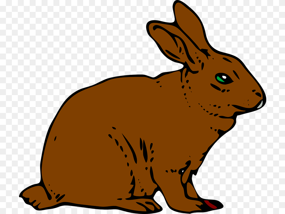 Rabbit Bunny Hare Brown Animal Khargosh Black And White, Mammal, Rodent, Person Free Png
