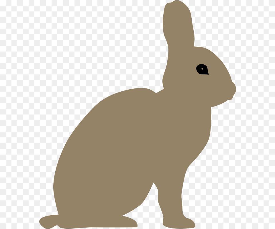 Rabbit By Rones, Animal, Mammal, Baby, Person Free Transparent Png