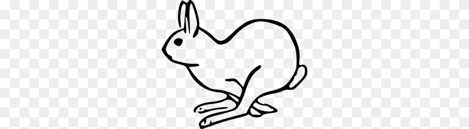 Rabbit Clip Art, Gray Free Transparent Png