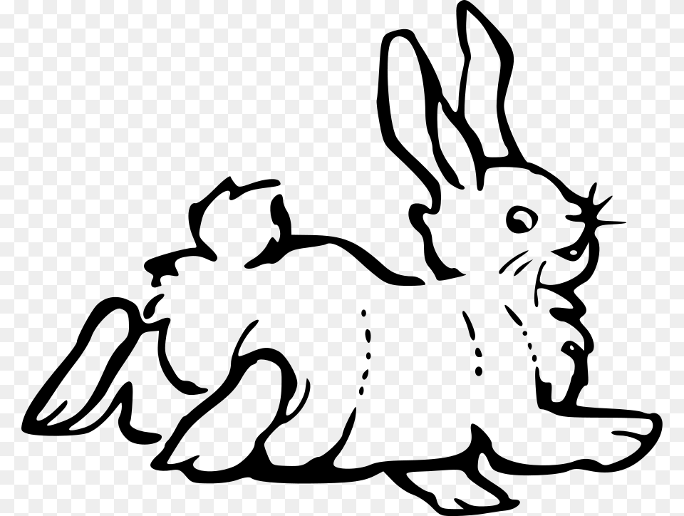 Rabbit Clip Art, Gray Free Png