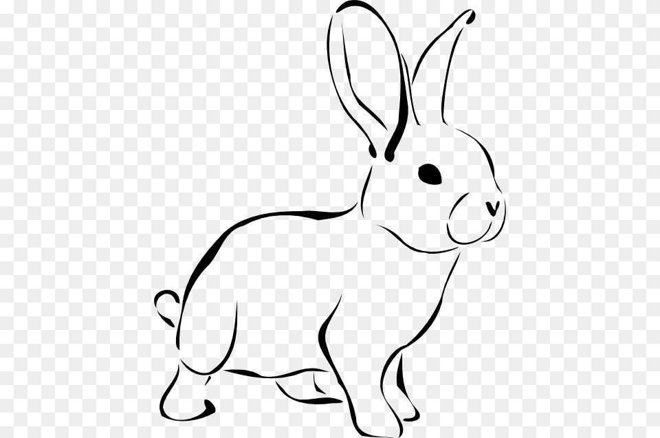 Rabbit Clip Art, Animal, Kangaroo, Mammal Free Png Download