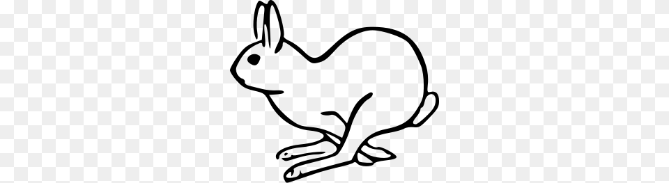 Rabbit Clip Art Images, Gray Png
