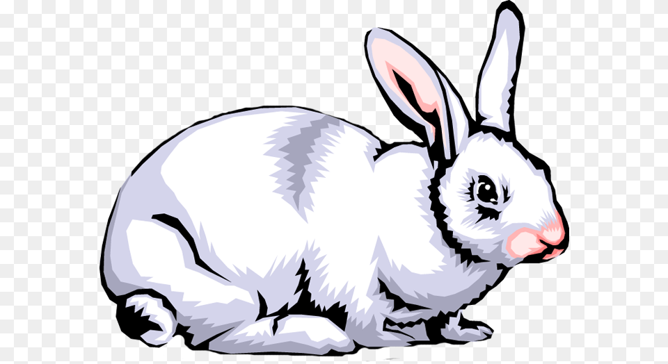 Rabbit Clip Art Images, Animal, Mammal, Baby, Person Free Transparent Png