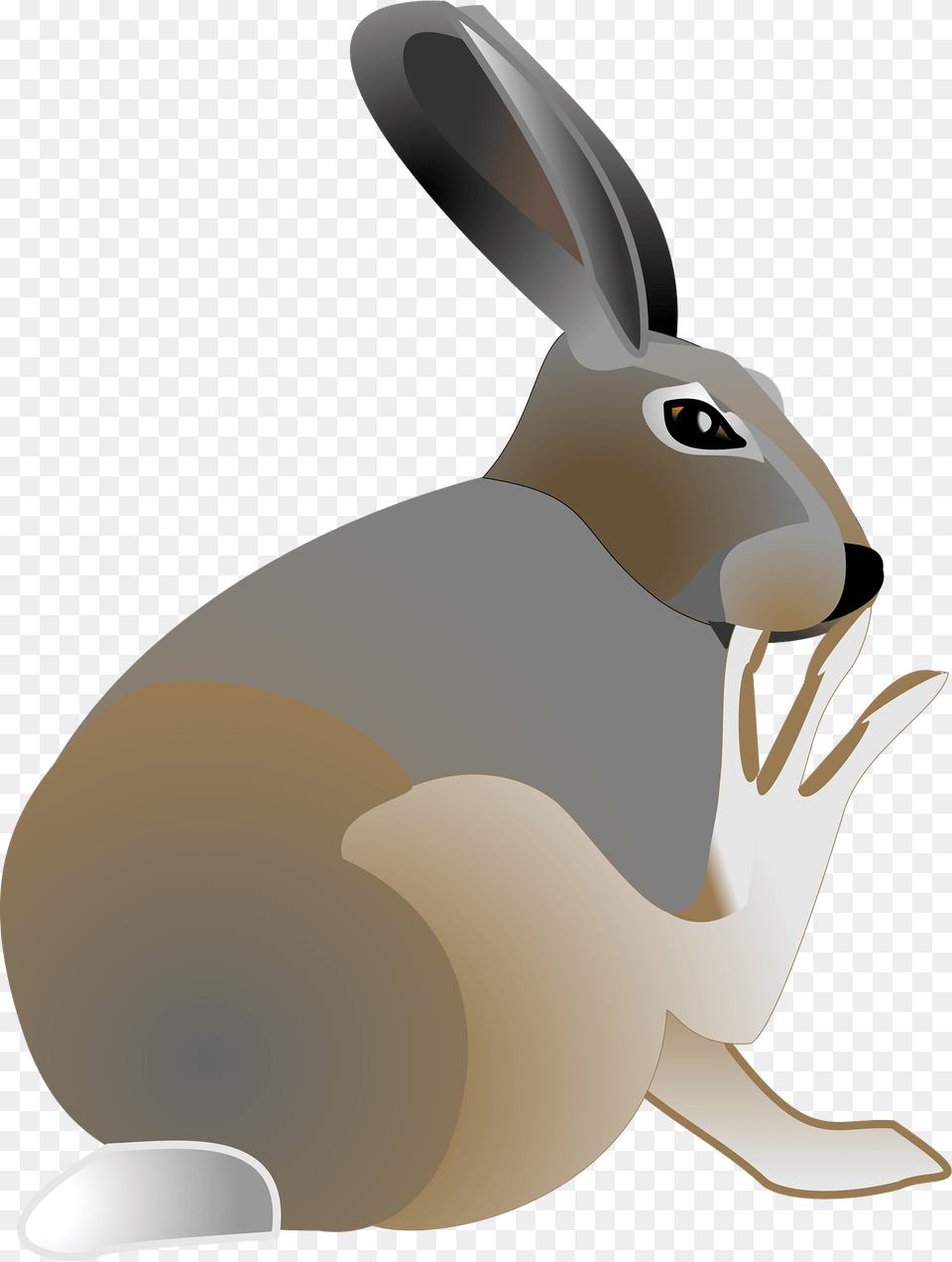 Rabbit Clipart, Animal, Hare, Mammal, Rodent Png