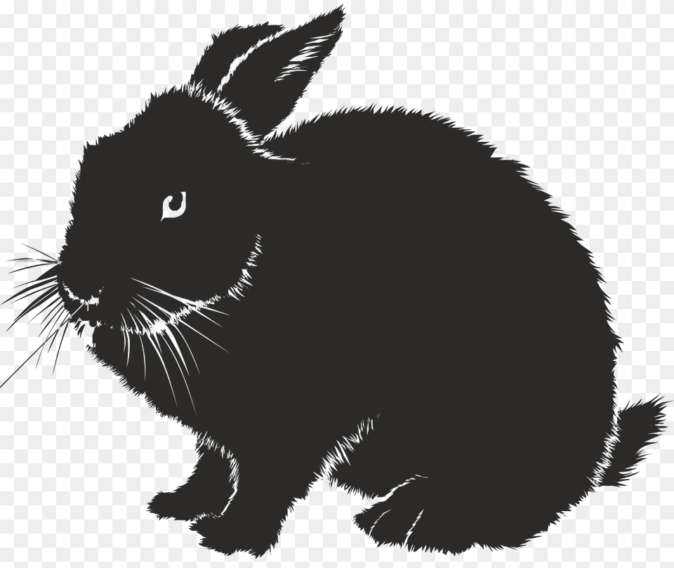 Rabbit Clipart, Animal, Mammal, Cat, Pet Free Png Download