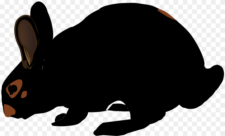 Rabbit Clipart, Animal, Mammal, Bear, Wildlife Free Transparent Png