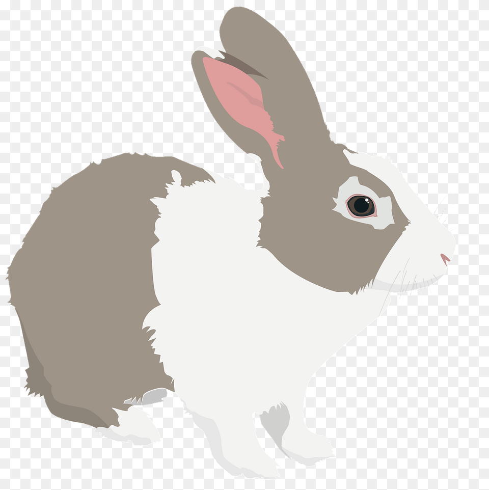 Rabbit Clipart, Animal, Mammal, Baby, Person Free Png