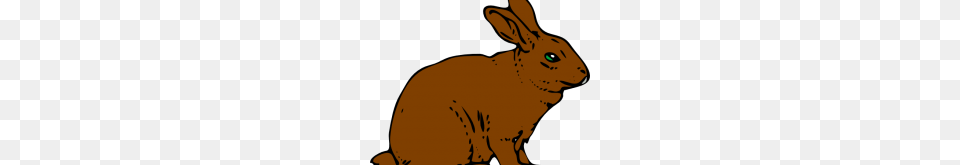Rabbit Clipart Classroom Clipartclipart Download Wallpaper, Animal, Mammal, Adult, Male Png Image