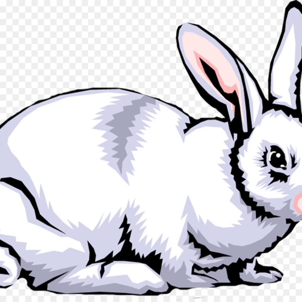 Rabbit Clipart Clipart Download, Animal, Mammal, Baby, Person Free Png
