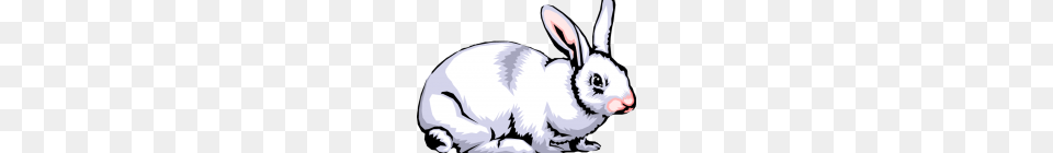 Rabbit Clipart Rabbit Clipart, Animal, Mammal, Baby, Person Png Image