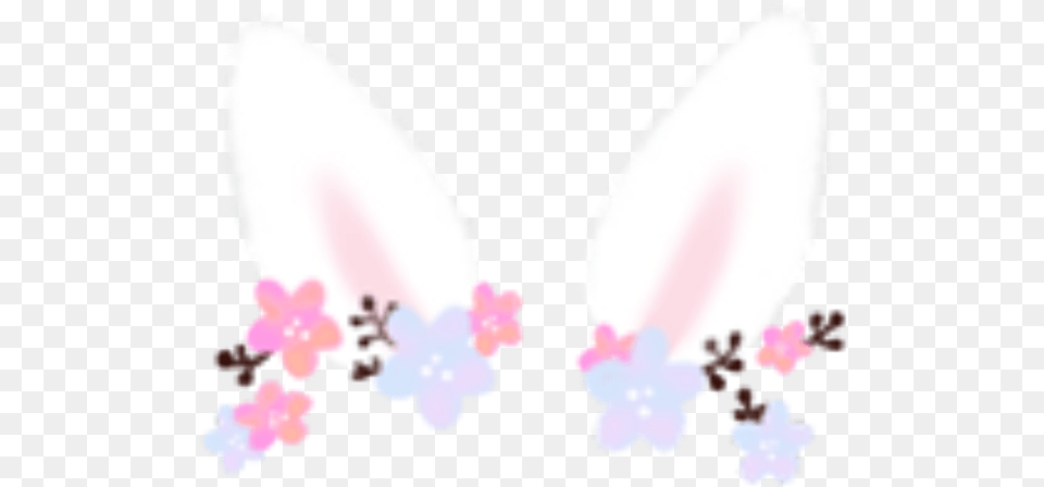 Rabbit Cute Animal Pink Flower Ears Freetoedit Orchid, Petal, Plant, Anther, Outdoors Free Transparent Png