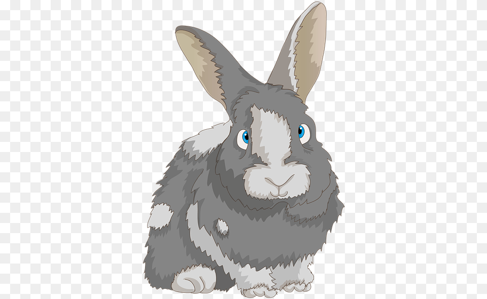 Rabbit Cute Dwarf Rabbit Long Eared Bunny Hare Rabbit, Animal, Mammal, Fish, Sea Life Free Png Download