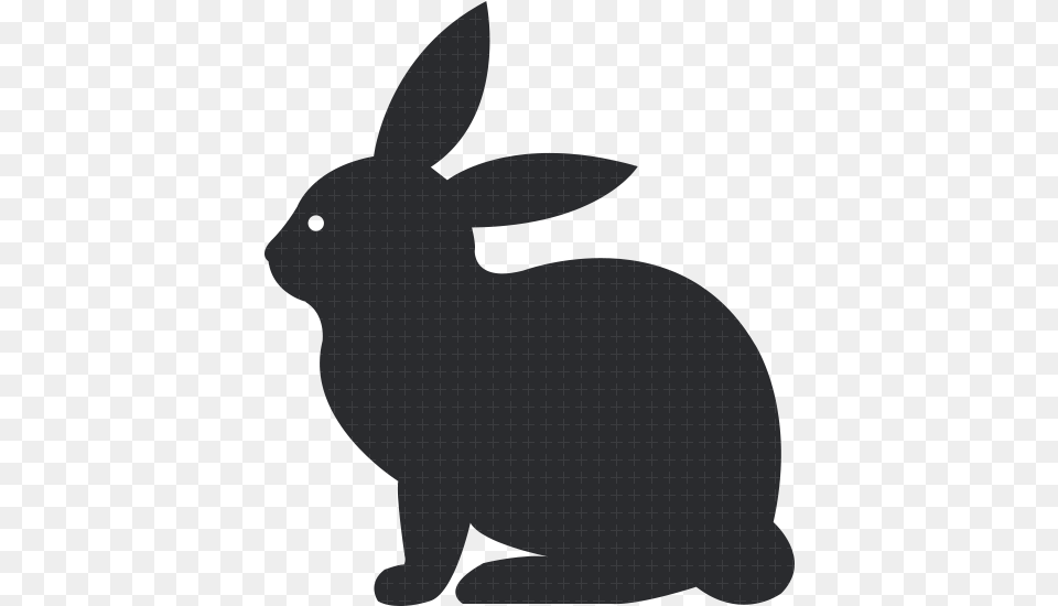 Rabbit Digital Agency White, Animal, Mammal Free Png Download