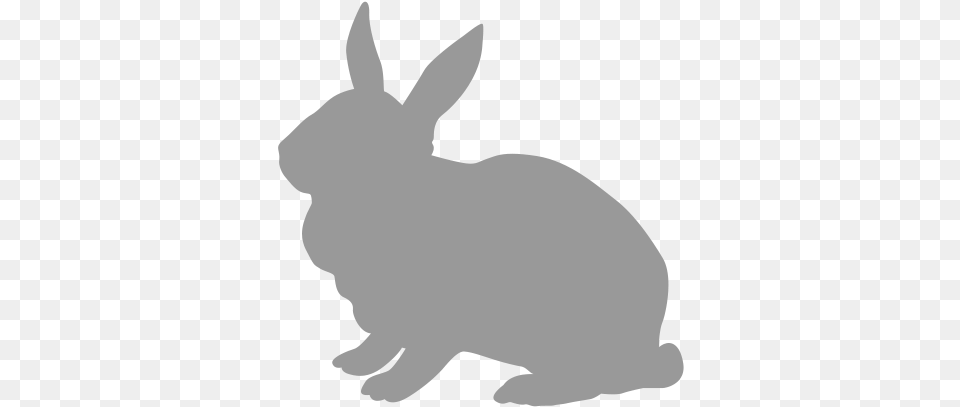 Rabbit Domestic Rabbit, Animal, Mammal, Hare, Rodent Free Transparent Png