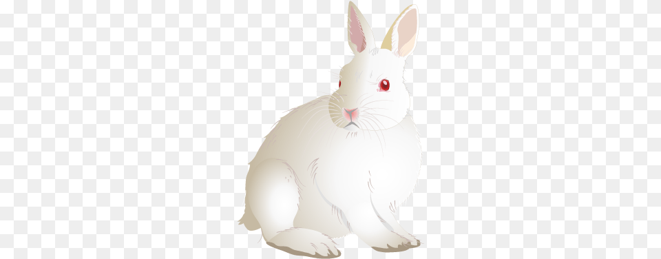 Rabbit Domestic Rabbit, Animal, Mammal, Baby, Person Free Transparent Png