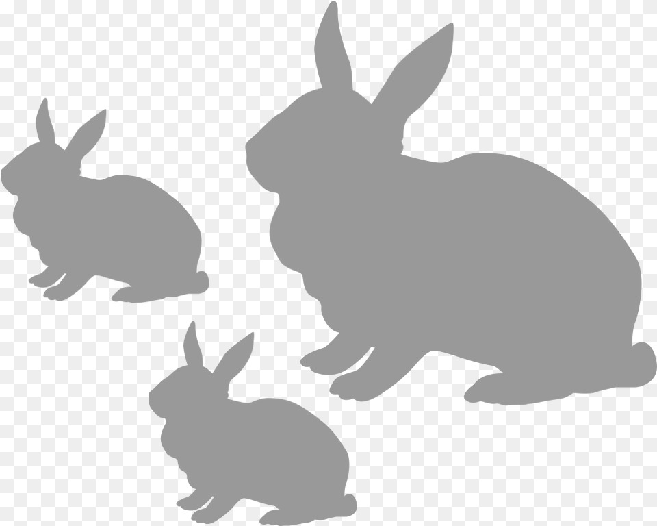 Rabbit Domestic Rabbit, Animal, Mammal, Baby, Person Free Transparent Png