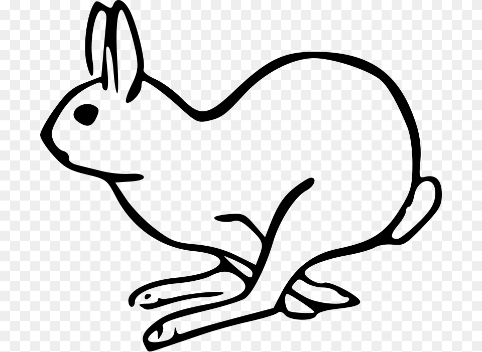 Rabbit Drawing, Gray Png